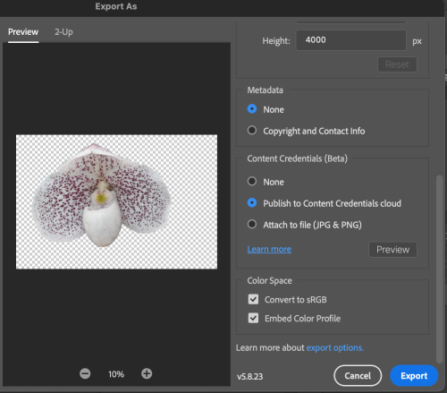 Exporting a PNG image with content credentials in Photoshop.